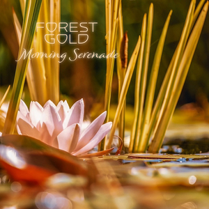 鲍鱼馒头户型图解
