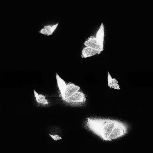 鲍鱼馒头户型图解
